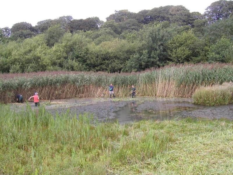 canalnpond.jpg